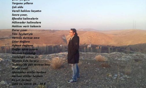 Yorgun Çınar ( Muhammed Burkucu Şiiri)