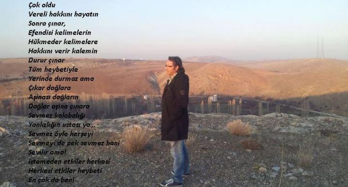 Yorgun Çınar ( Muhammed Burkucu Şiiri)