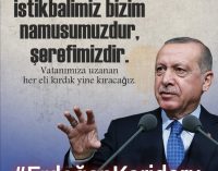 TESTİNİN İÇİNDEKİNİ SIZDIRANLAR (Köşe Yazısı)