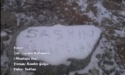 Yeter