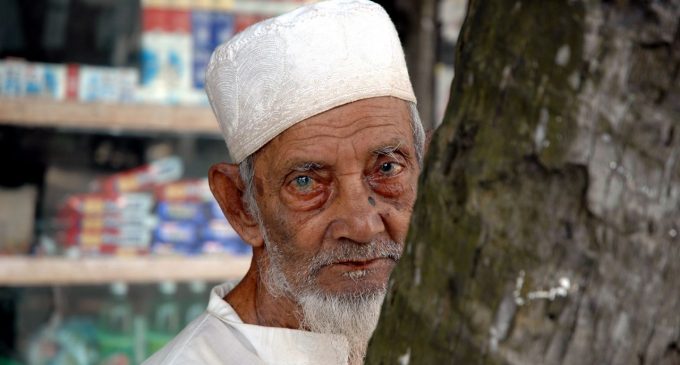 NORMALE DÖNECEK İNSANLIK