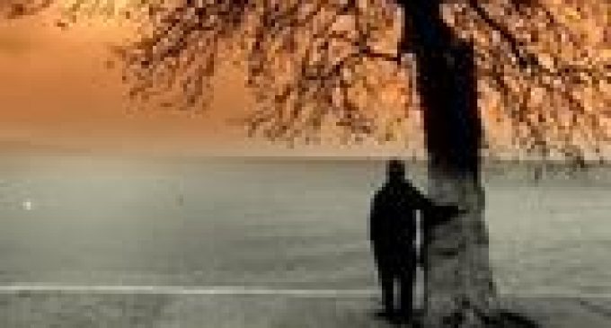 Son Bakış – Sezen Aksu