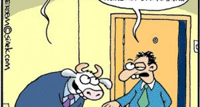 HANGİ ÖKÜZDEN KURBAN OLMAZ