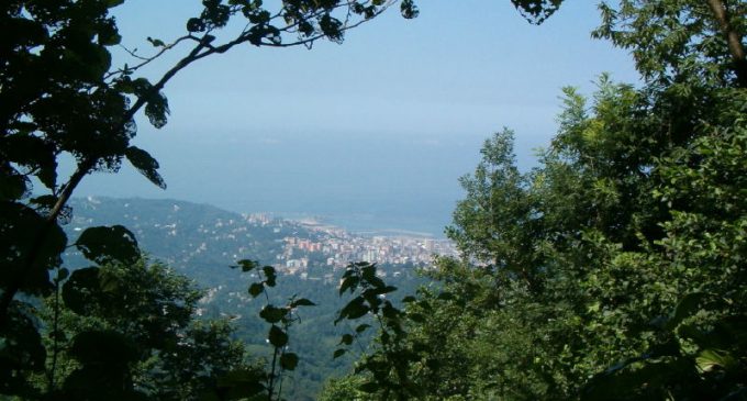KAZA SÜSÜ