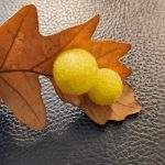 SORUNLAR NASIL BÜYÜR? (Deneme)